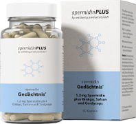 Spermidin Ged&auml;chtnis im Vergleich