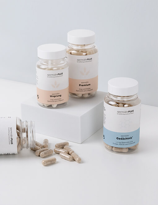 Spermidin Kapseln in ausgezeichneter Qualität online bestellen Spermidin in ausgezeichneter Qualität online bestellen